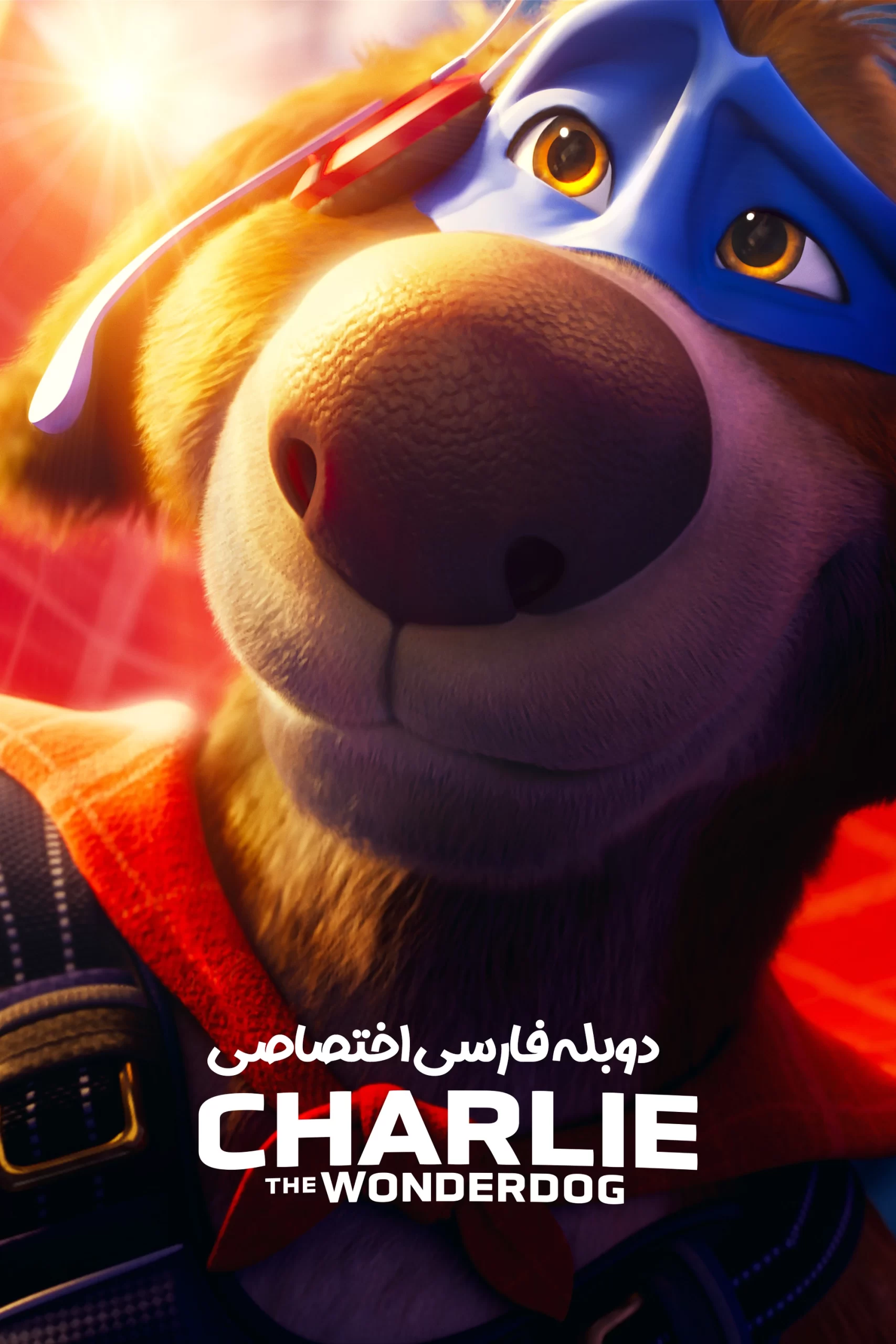 چارلی، سگ شگفت انگیز